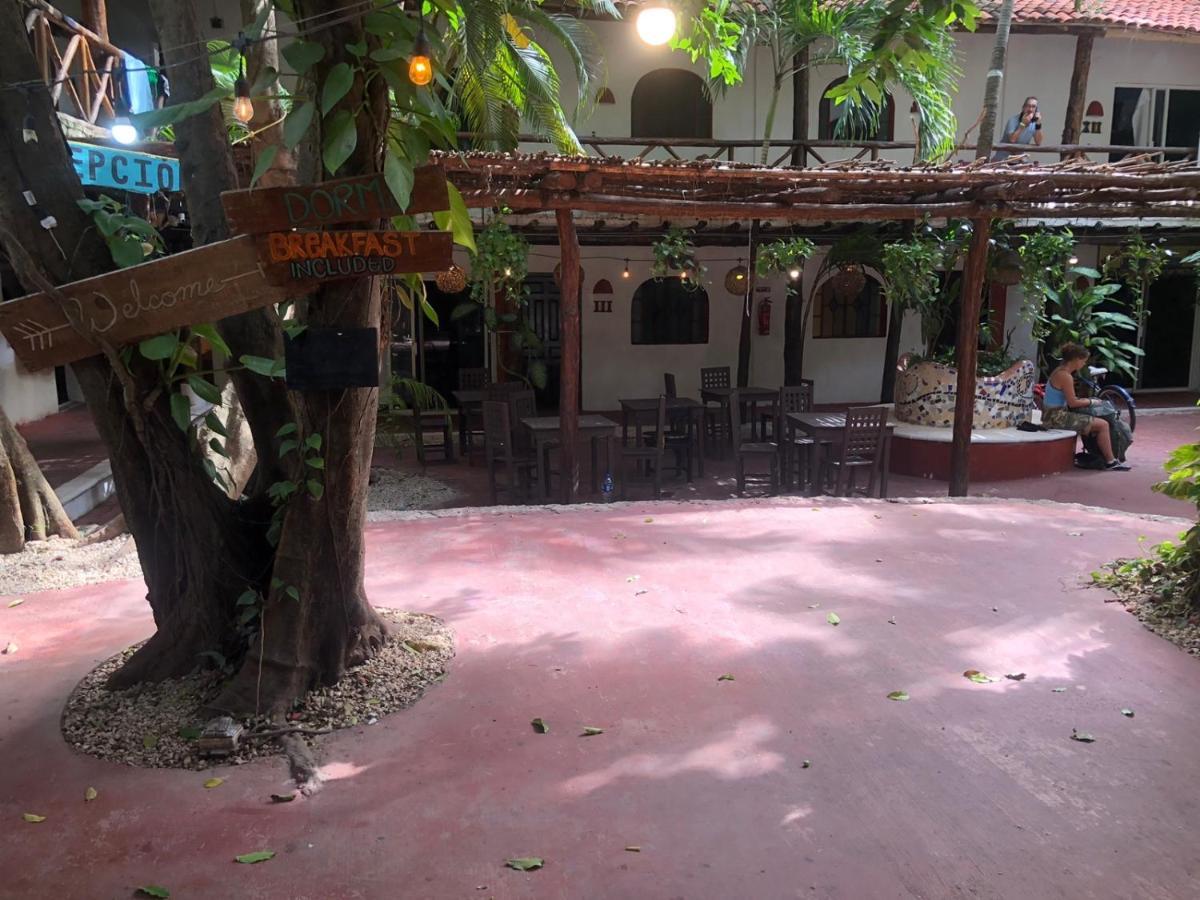 Hostal Mx 5Th Avenue Playa del Carmen Bagian luar foto